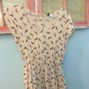 Bird 🦅 print dress